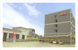 company2.jpg